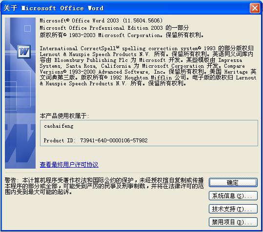 通过序列号成功激活Office2003