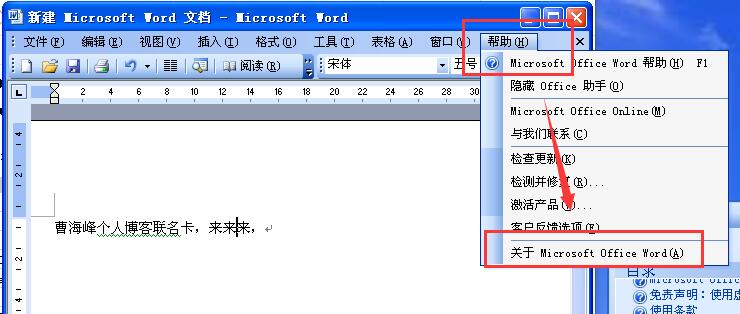 关于 Microsoft Office Word