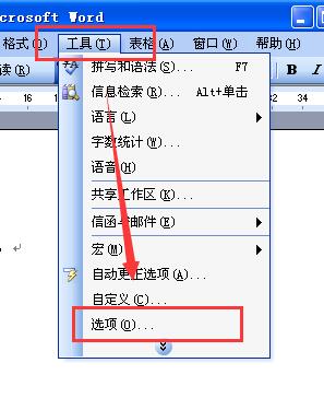 单击“工具”菜单中的“选项”