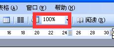 word显示比例框