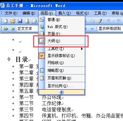 word大纲视图