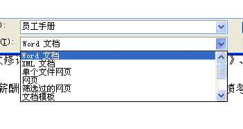 word另存为文件格式