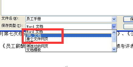 将文档保存为 XML 文件